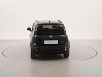Usata Fiat Panda Cross Cross 71 CV (52 kW) 2025 Verde scuro Utilitaria
