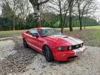 Usata Ford Mustang GT 2009 Rosso Berlina