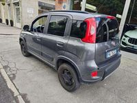 Usata Fiat Panda 4x4 S 84 CV (61 kW) 2019 Grigio Utilitaria