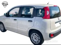 Usata Fiat Panda Lounge 69 CV (50 kW) 2017 Beige Utilitaria