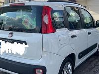 Usata Fiat Panda 75 CV (55 kW) 2015 Bianco Utilitaria