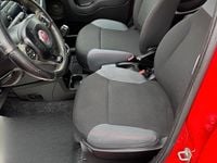 Usata Fiat Panda Easy 95 CV (69 kW) 2019 Rosso Utilitaria
