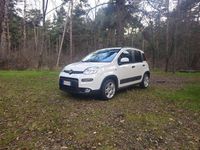 Usata Fiat Panda City Life 69 CV (50 kW) 2023 Utilitaria