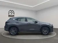 Usata Lexus NX200t Business Edition 243 CV (178 kW) 2023 Grigio / gray SUV