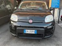 Usata Fiat Panda Cross Cross 69 CV (50 kW) 2021 Nero Utilitaria
