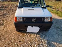 Usata Fiat Panda 4x4 50 CV (36 kW) 2002 Utilitaria