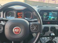 Usata Fiat Panda Cross Cross 70 CV (51 kW) 2022 Grigio Utilitaria