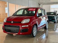 Nuova Fiat Panda Icon 70 CV (51 kW) 2025 Blu Utilitaria