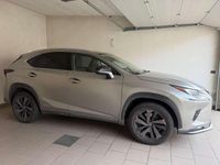 Usata Lexus NX300h 155 CV (114 kW) 2021 Grigio SUV