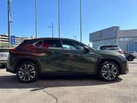 Usata Lexus UX 250h Executive Line 184 CV (135 kW) 2019 Verde SUV
