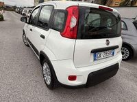 Usata Fiat Panda S 69 CV (50 kW) 2022 Utilitaria