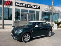 usata Mini Cooper S Countryman E Countryman ALL4 Au