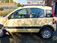 Usata Fiat Panda 4x4 60 CV (44 kW) 2006 Giallo Utilitaria