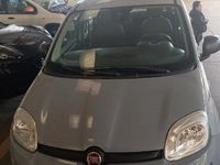 Usata Fiat Panda Easy 69 CV (50 kW) 2019 Grigio Utilitaria