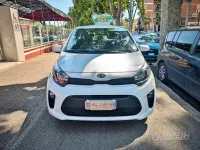 Usata Kia Picanto 65 CV (47 kW) 2020 Bianco Utilitaria