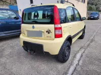 Usata Fiat Panda 4x4 Climbing 60 CV (44 kW) 2005 Utilitaria