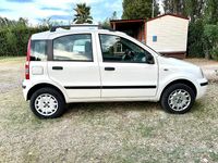 Usata Fiat Panda 77 CV (56 kW) 2009 Bianco Utilitaria