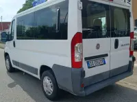 Usata Fiat Ducato 120 CV (88 kW) 2010 Vernice pastello Furgone