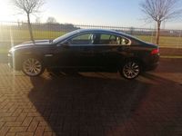 usata Jaguar XF 2.2d s&s auto