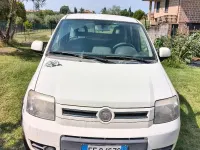 Usata Fiat Panda 4x4 Climbing 75 CV (55 kW) 2011 Bianco Utilitaria