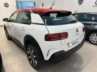 Usata Citroën C4 Cactus Shine 120 CV (88 kW) 2019 Bianco Utilitaria