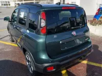 Usata Fiat Panda Cross Cross 70 CV (51 kW) 2025 Verde Utilitaria