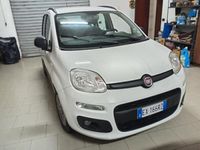 Usata Fiat Panda Lounge 75 CV (55 kW) 2014 Bianco Utilitaria