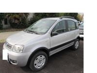 Usata Fiat Panda 4x4 Climbing 60 CV (44 kW) 2005 Argento Utilitaria