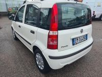 usata Fiat Panda 1.2 Dynamic NEOPATENTATI