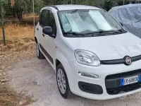 Usata Fiat Panda Easy 85 CV (62 kW) 2013 Bianco Utilitaria