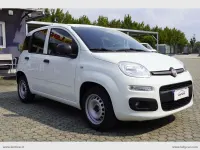 Usata Fiat Panda Pop 69 CV (50 kW) 2022 Bianco Utilitaria