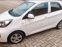Usata Kia Picanto Active 65 CV (47 kW) 2016 Bianco Utilitaria