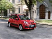 usata Fiat Panda III 2016 1.2 Lounge s and s 69cv my19