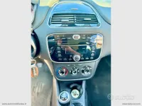Usata Fiat Punto Lounge 69 CV (50 kW) 2014 Argento Utilitaria