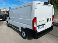 Usata Fiat Ducato 33 140 CV (102 kW) 2023 Bianco Furgone