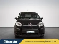 Usata Fiat Panda S 70 CV (51 kW) 2024 Nero Utilitaria