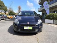 usata Fiat Punto 1.3 MJT 1.3 MJT II S&S 95 CV 5 porte Lounge, FINANZIABILE