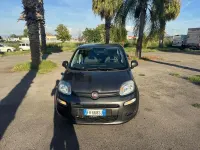 Usata Fiat Panda Easy 69 CV (50 kW) 2019 Utilitaria