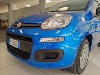 Usata Fiat Panda 69 CV (50 kW) 2024 Blu misano Utilitaria