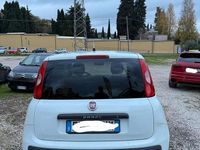 Usata Fiat Panda Lounge 95 CV (69 kW) 2016 Bianco Berlina