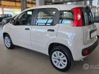 Usata Fiat Panda Easy 86 CV (63 kW) 2017 Beige Utilitaria