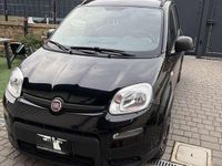 Usata Fiat Panda City Life 69 CV (50 kW) 2021 Utilitaria
