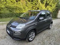 Usata Fiat Panda Lounge 69 CV (50 kW) 2022 Other Utilitaria