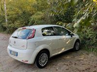 Usata Fiat Punto 69 CV (50 kW) 2014 Bianco Utilitaria