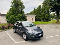 Usata Fiat Punto Lounge 69 CV (50 kW) 2013 Grigio Berlina