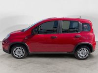 Usata Fiat Panda S 70 CV (51 kW) 2025 Utilitaria