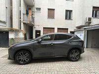 Usata Lexus NX350h 197 CV (144 kW) 2022 Grigio SUV