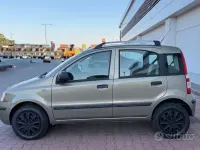 Usata Fiat Panda Dynamic 60 CV (44 kW) 2010 Verde Utilitaria