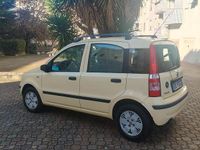 Usata Fiat Panda 60 CV (44 kW) 2008 Giallo Utilitaria