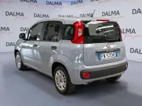 Usata Fiat Panda Pop 69 CV (50 kW) 2018 Grigio Utilitaria